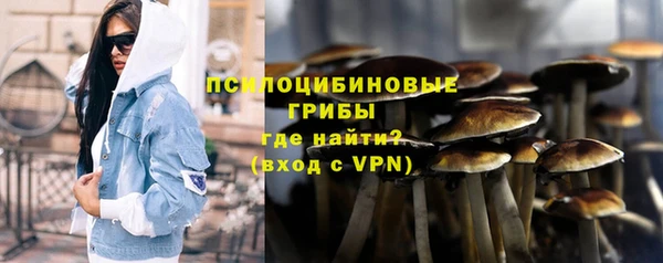 бошки Аркадак