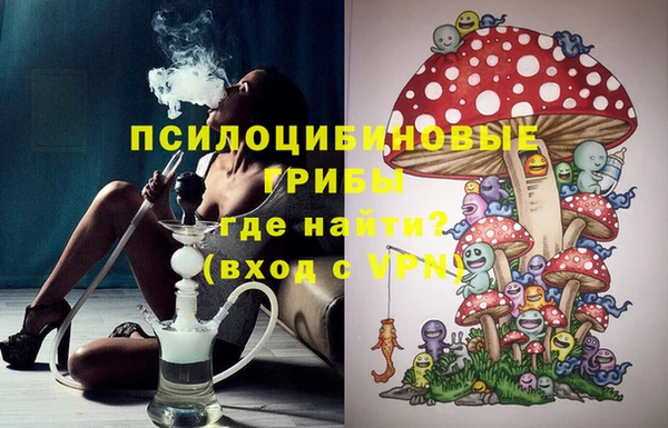 винт Армянск